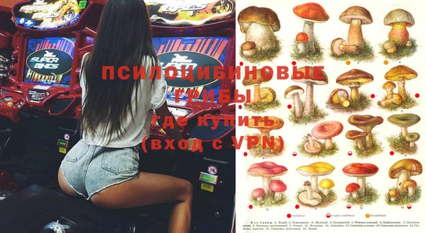 крисы Белокуриха