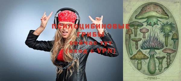 мяу мяу мука Кукмор