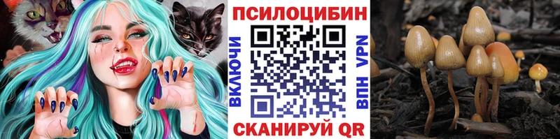 Псилоцибиновые грибы прущие грибы  Уссурийск 