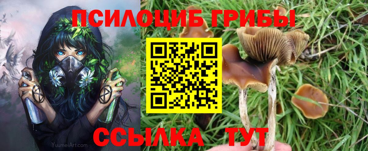 Псилоцибиновые грибы Magic Shrooms Уссурийск