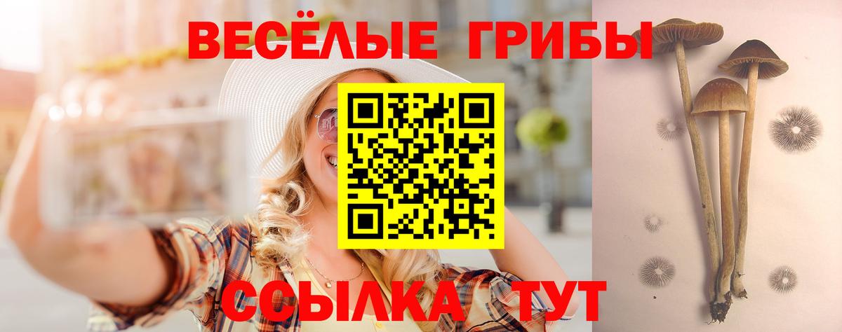 Уссурийск  Галлюциногенные грибы Cubensis  Галлюциногенные грибы прущие грибы  Вход с VPN 